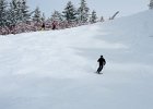 2012 0220 140500