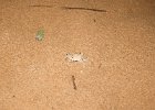 2014 1117 223652