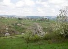 2015 0425 155040