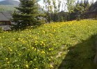 2017 0514 101559